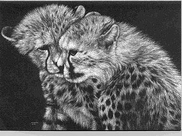 Cheetah Cubs - Cheetahs by Diane Versteeg